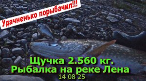 Щучка 2.560 кг. Рыбалка на реке Лена 14 08 25