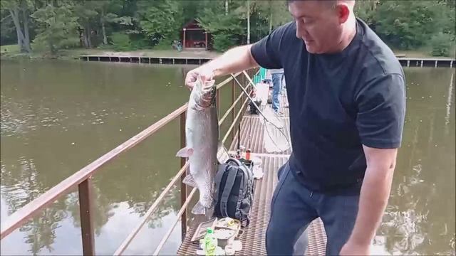 Клёвое место Лосиный остров