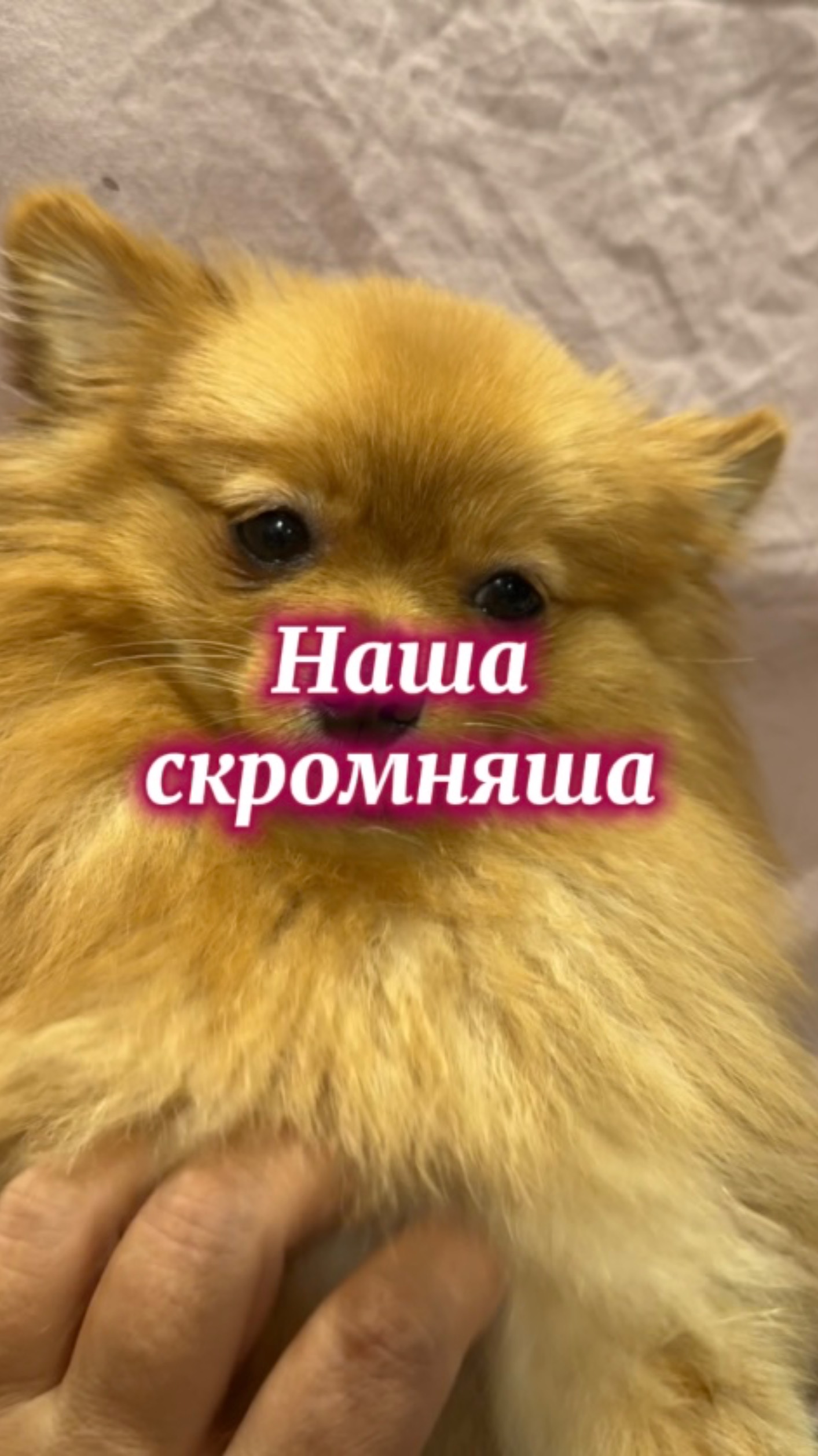 Нисса скромничает у нас в гостях