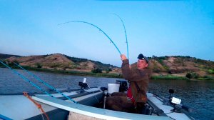 Это нереально! Нашёл косу где тонны рыбы! Бешеный клёв сома и сазана