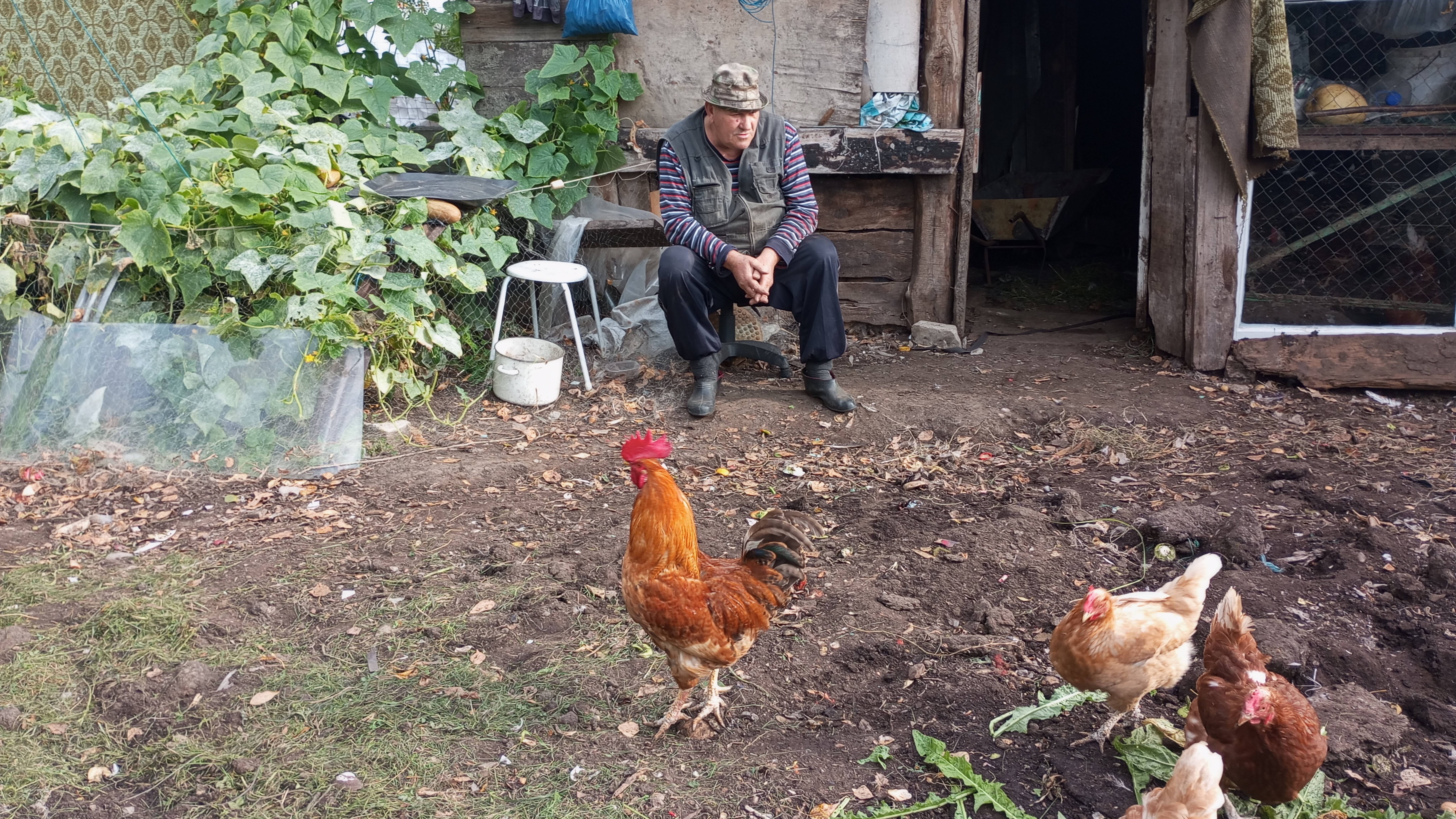 С УТРА ЗАРЯДКА, ДНЁМ РАБОТЁНКА смотреть онлайн