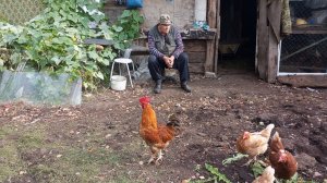 С УТРА ЗАРЯДКА, ДНЁМ РАБОТЁНКА