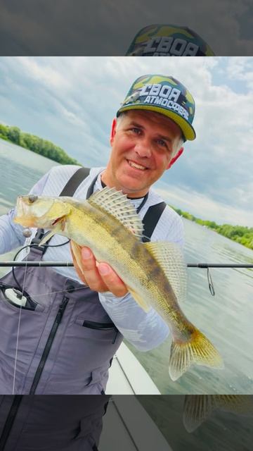 Эти рыбы радовали меня на рыбалке летом смотреть онлайн