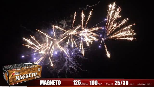 MAGNETO-FP-B235 смотреть онлайн