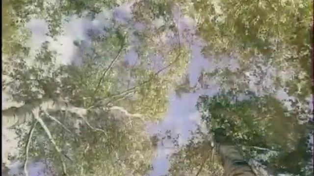 Анна Герман - жизнь и творчество — СВЕТИТ НЕЗНАКОМАЯ ЗВЕЗДА — Раскрывая тайны звезд НАДЕЖДА_ТВ смотреть онлайн