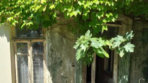 Что мы увидели на даче Сталина без экскурсий. Новый Афон. Абхазия