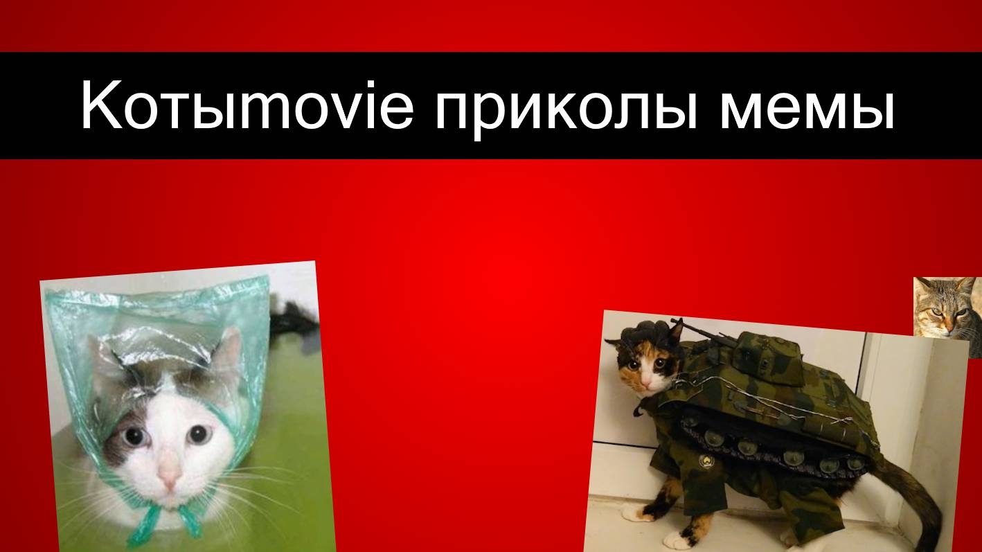 Котыmovie приколы мемы смотреть онлайн