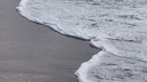 "БАЛТИЙСКИЙ БЕРЕГ" Клип на песню Олега Газманова.