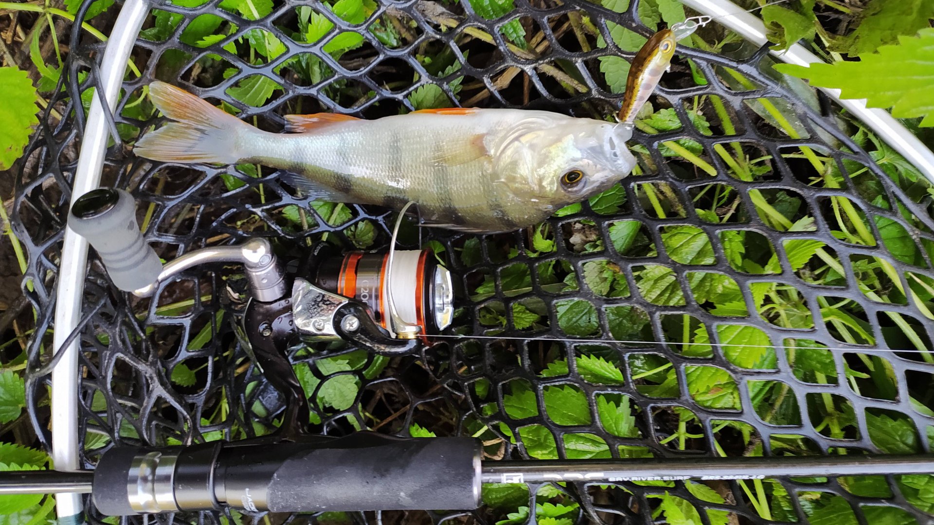 Десна. Днем 25 августа 2025 года