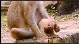 Что  в голове у этой мамаши ?    1000032187.mp4