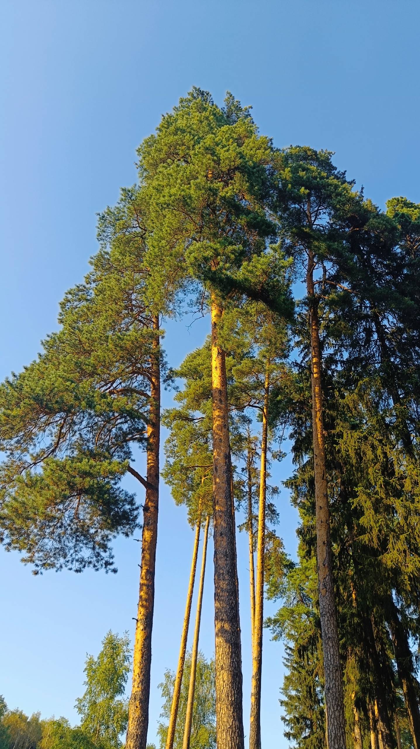 Теплый день 31 августа 2025 на плотине в Заветах Ильича смотреть онлайн