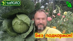 БЕЗ ПОДКОРМОК: просто УДАЛИТЕ ЭТО У КАПУСТЫ В СЕНТЯБРЕ и ОНА ЗАВЯЖЕТ ВСЕ КОЧАНЫ и ОШЕЛОМИТ РАЗМЕРОМ!