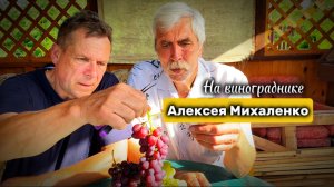 Обзор виноградника Алексея Михаленко (Полоцкий район д.Межно)
