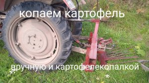 Копаем картофель . Вручную и картофелекопалкой на Т-25. Самодельная копалка в работе .