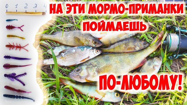 CURIOUS FISH - ЧЁТКИЕ И УЛОВИСТЫЕ МОРМО-ПРИМАНКИ! ОБЗОР И РАЗЛОВ! МОРМЫШИНГ.