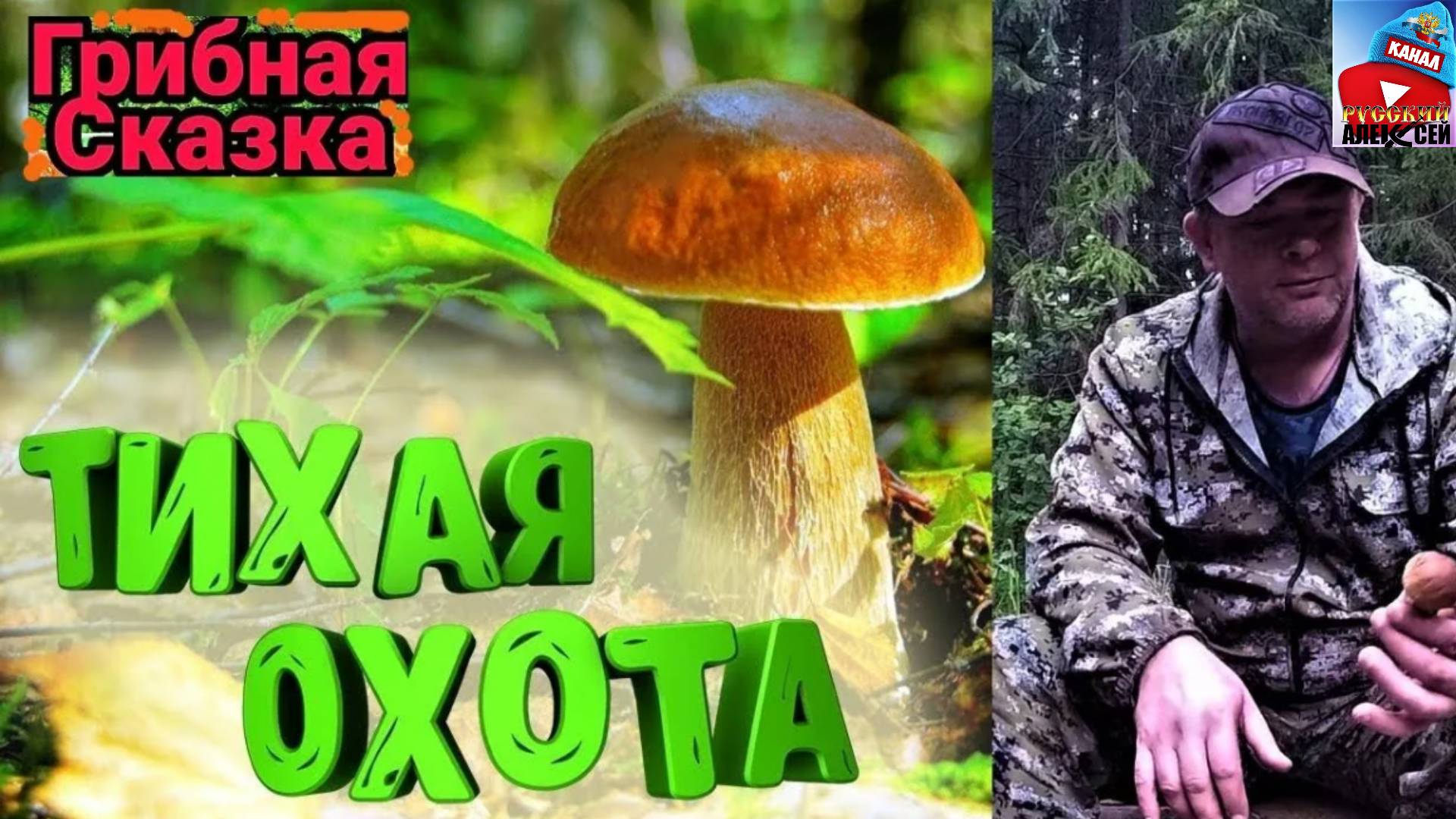 ✔ За белыми грибами в Тверские леса.Открытие сезона тихой охоты сбора грибов в августе.