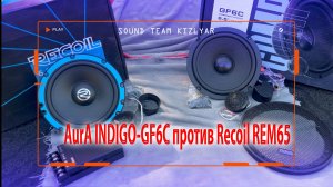 Что выбрать, когда нужен качественный звук? AurA INDIGO-GF6C против Recoil REM65