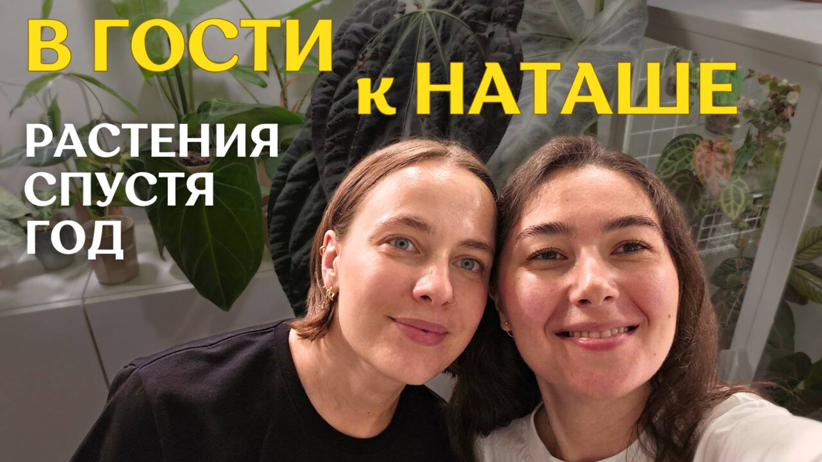 ИНТЕРЬЕРНОЕ размещение РАСТЕНИЙ | разнообразная и СТИЛЬНАЯ КОЛЛЕКЦИЯ растений | в гостях У НАТАШИ🪴 смотреть онлайн