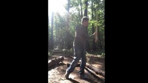 Бокен в лесу.