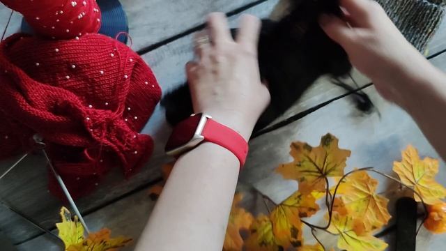 СП "Вязальный переполох Осень 2025" // Вступление 🍁🍂🍁 смотреть онлайн