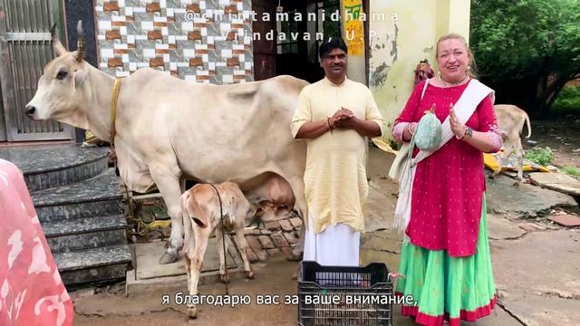 1 сентября. Мы расширяем благотворительность. Служение брахманам и коровам смотреть онлайн