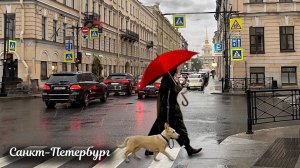 Прогулка по центру Санкт-Петербурга под дождем 4К