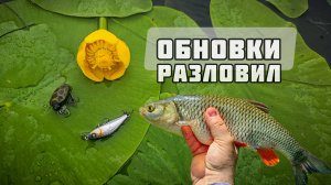 SMITH CAMENUSI JACKALL и CHUBBY MINNOW | разловил новые воблеры по голавлю
