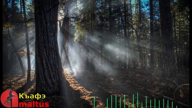 Къафэ смотреть онлайн