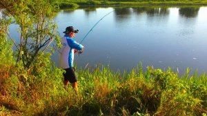 Еноты тарантулы и сазаны Рыбалка в Астрахани в одиночку
