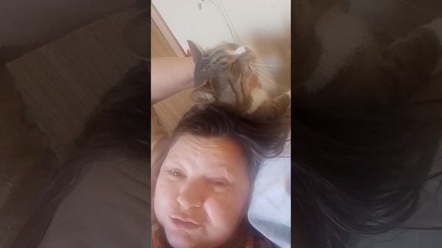 кашатина смотреть онлайн