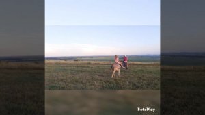 Ослики_Дружба. Не секрет, что друзья не растут в огороде))