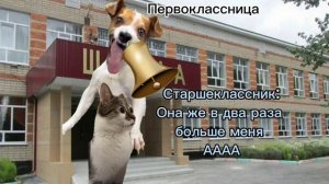 Пов 1 сентября(котики)