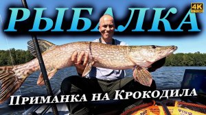 Эту Щуку я ждал 1,5 месяца. А ещё неплохо клевал судак