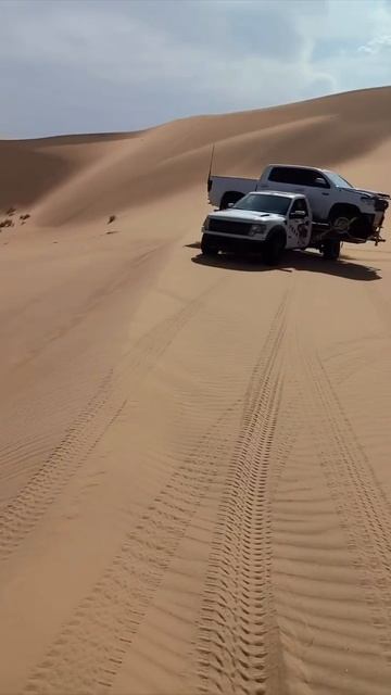Desert Drive смотреть онлайн