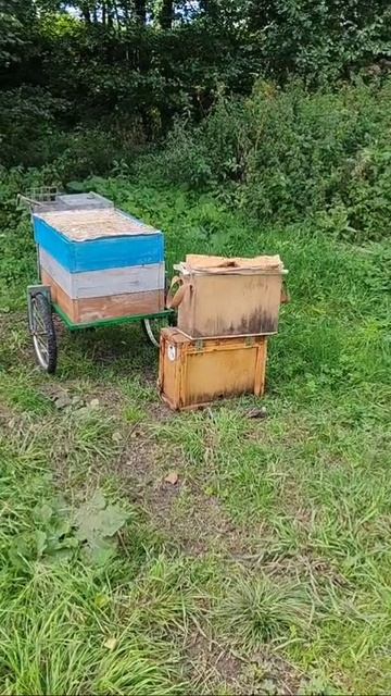 Начало откачки сезона 2025