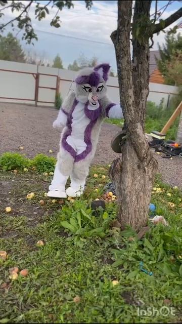 #Мэдди собирает#яблоки