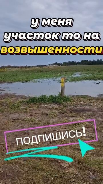 ❓ЗАЧЕМ он ВРЁТ #спецтехника #трактор #стройка #участок #грязь #дом #дача #дорога #заказчик #работа