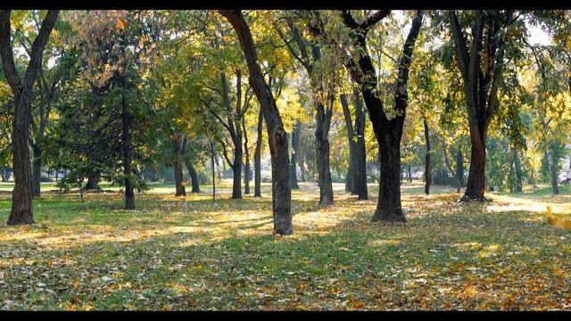 HzMafia -Гио Пика - Листопадом смотреть онлайн