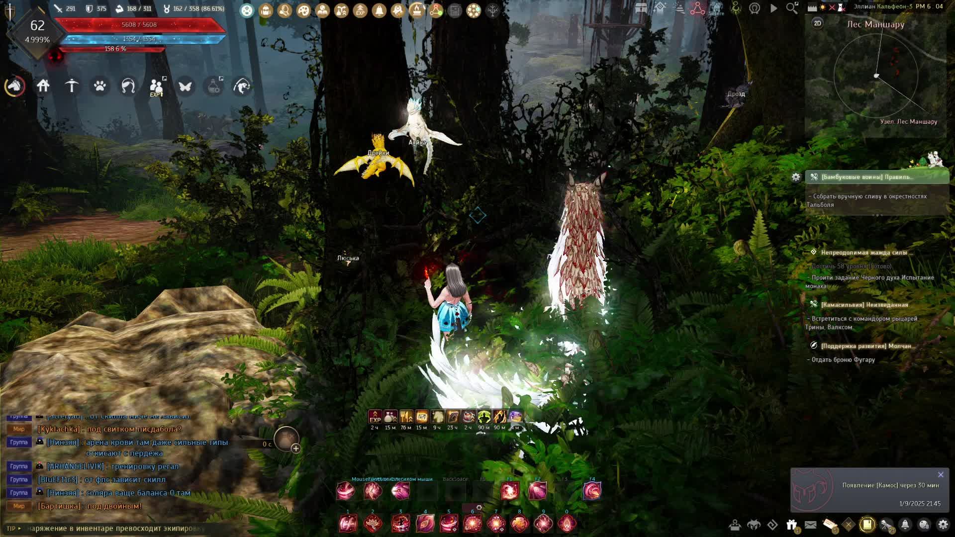 Black Desert осмотр после перерыва ч.9