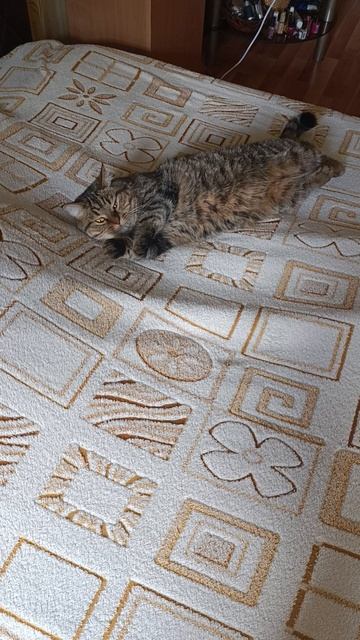 Чтоб вам так жить)) смотреть онлайн