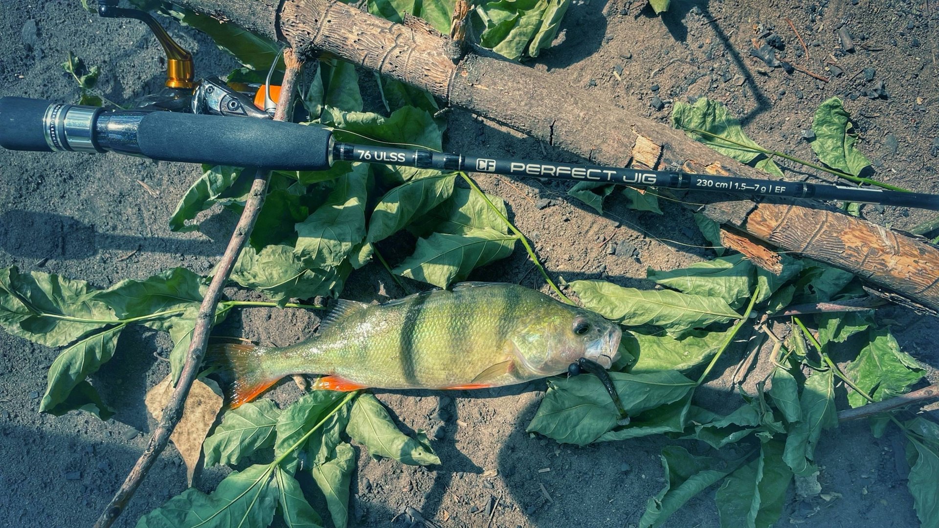 ПЕЛАГИЧЕСКИЙ ДЖИГ | CF PERFECT JIG 76ULSS