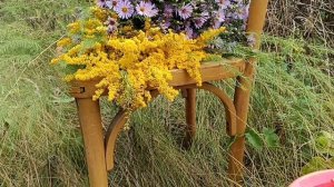 РАБОТАЛИ ДО ПОЗДНА  ВСТАВИЛИ ОКНО/СЪЕЗДИЛИ ЗА ЯБЛОКАМИ