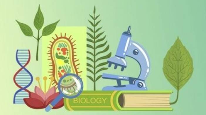 Цветковые растения. Петуния. смотреть онлайн