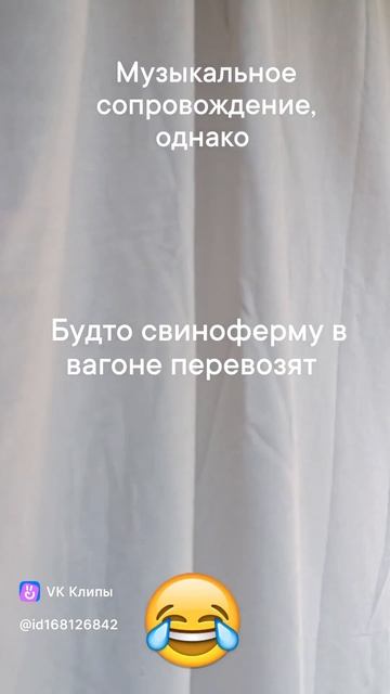 Веселая поездка