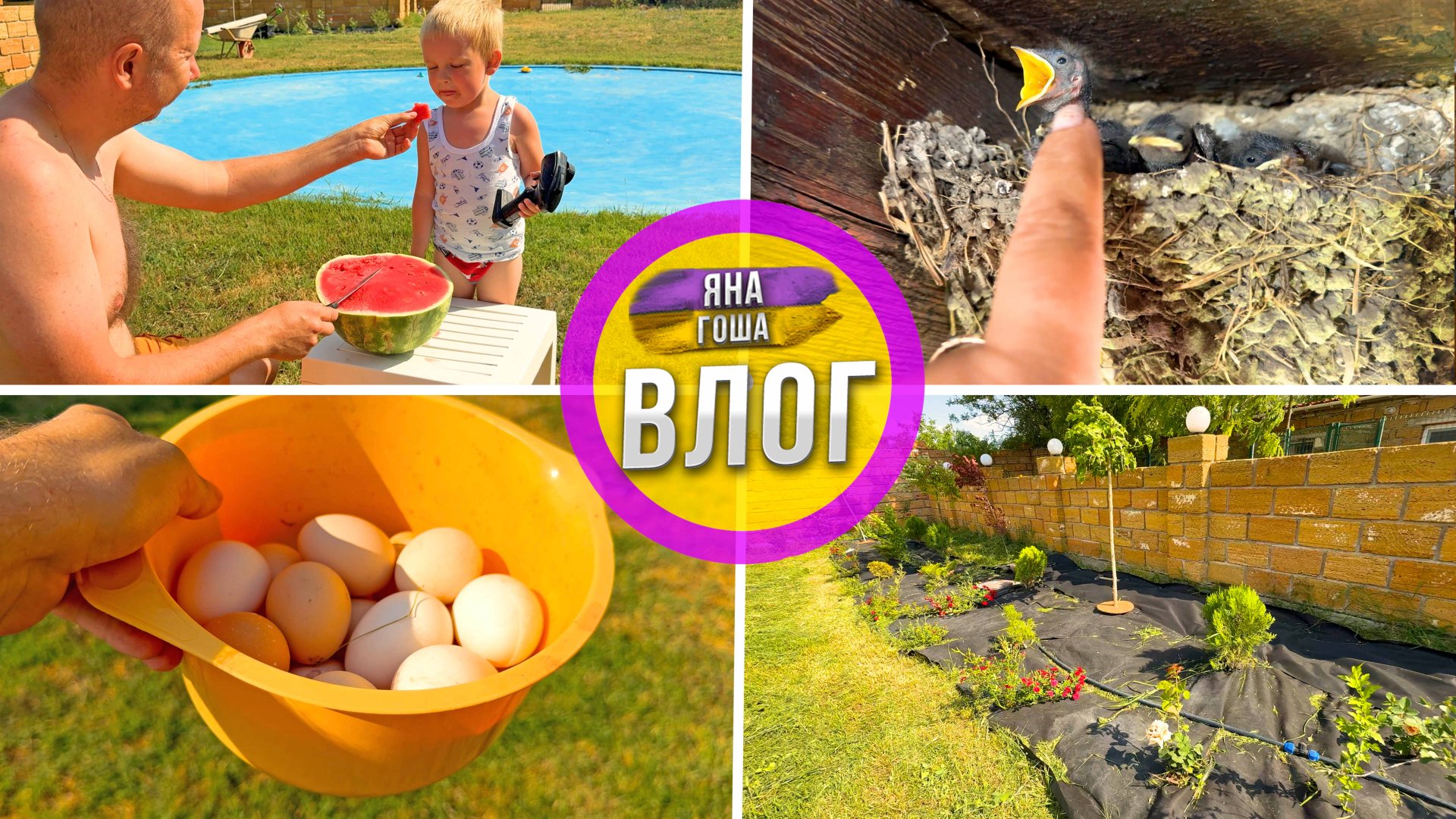 Феодосия не туристическая. Ласточки подрастают. Первый крымский арбуз. Влог из Крыма. смотреть онлайн