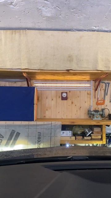 Парктроник