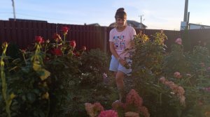 НЕ МОГУ СМИРИТЬСЯ, ИЩУ ВИНОВНЫХ/ХЛОПОТЫ В ОГОРОДЕ,ГНИËТ/МУЖ КУПИЛ ВСЁ