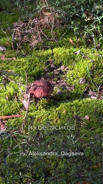 Один мудрый совет при сложном выборе