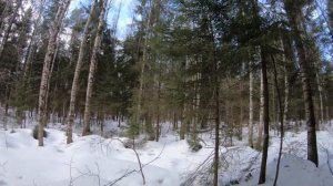 Коп повойне!ПРО КОП.Серия 114.Зима. (1)