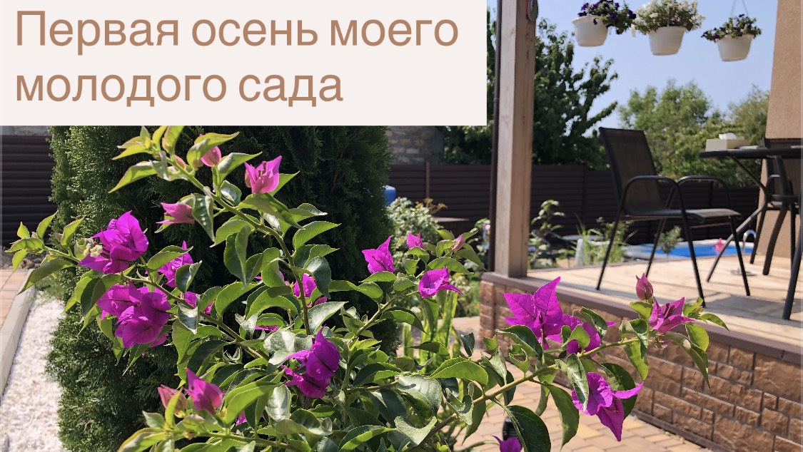 Экскурсия по саду # 7. Встречаем осень смотреть онлайн